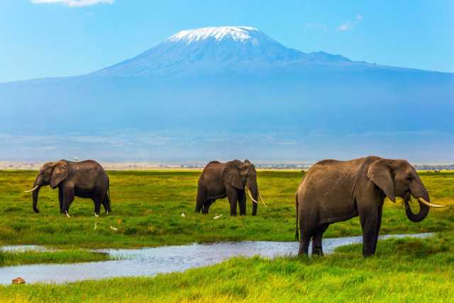 アンボセリ国立公園　ケニア