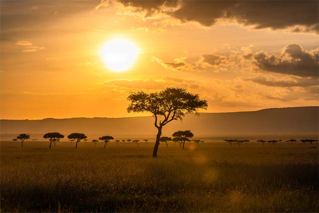 マサイマラの夕日　ケニア