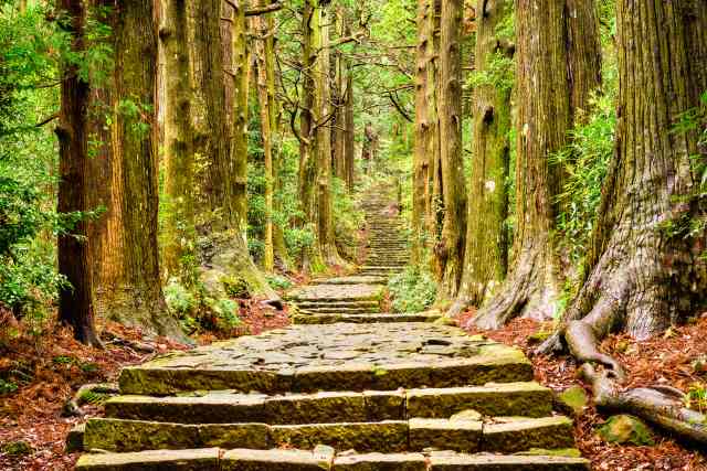 KUMANO KODO